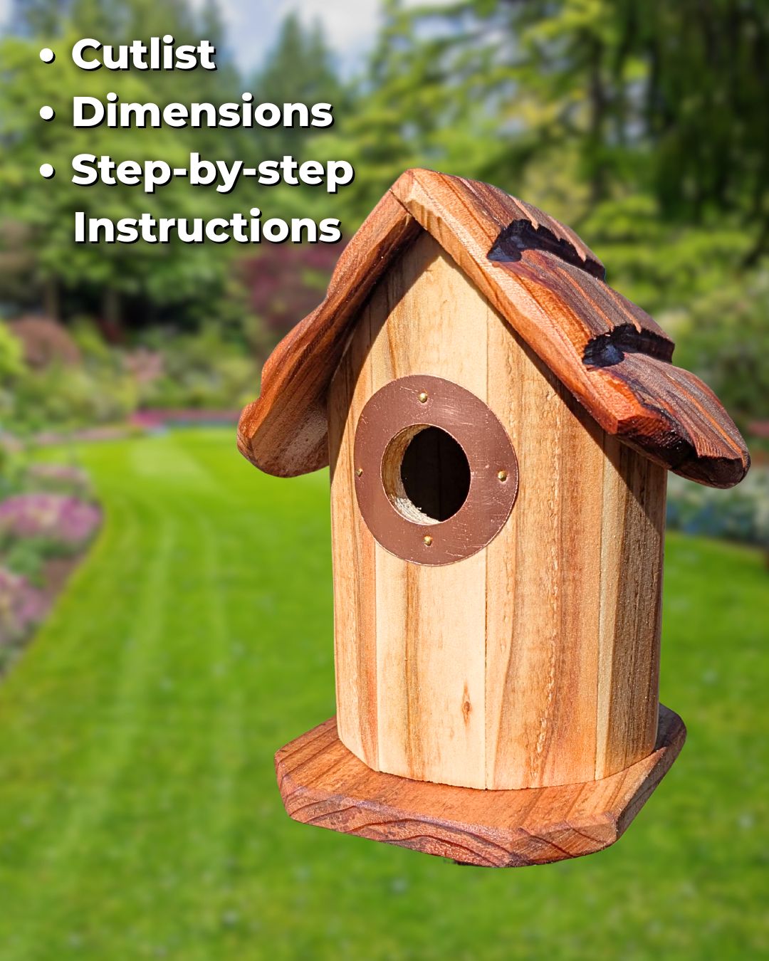 The Timbernest Plans