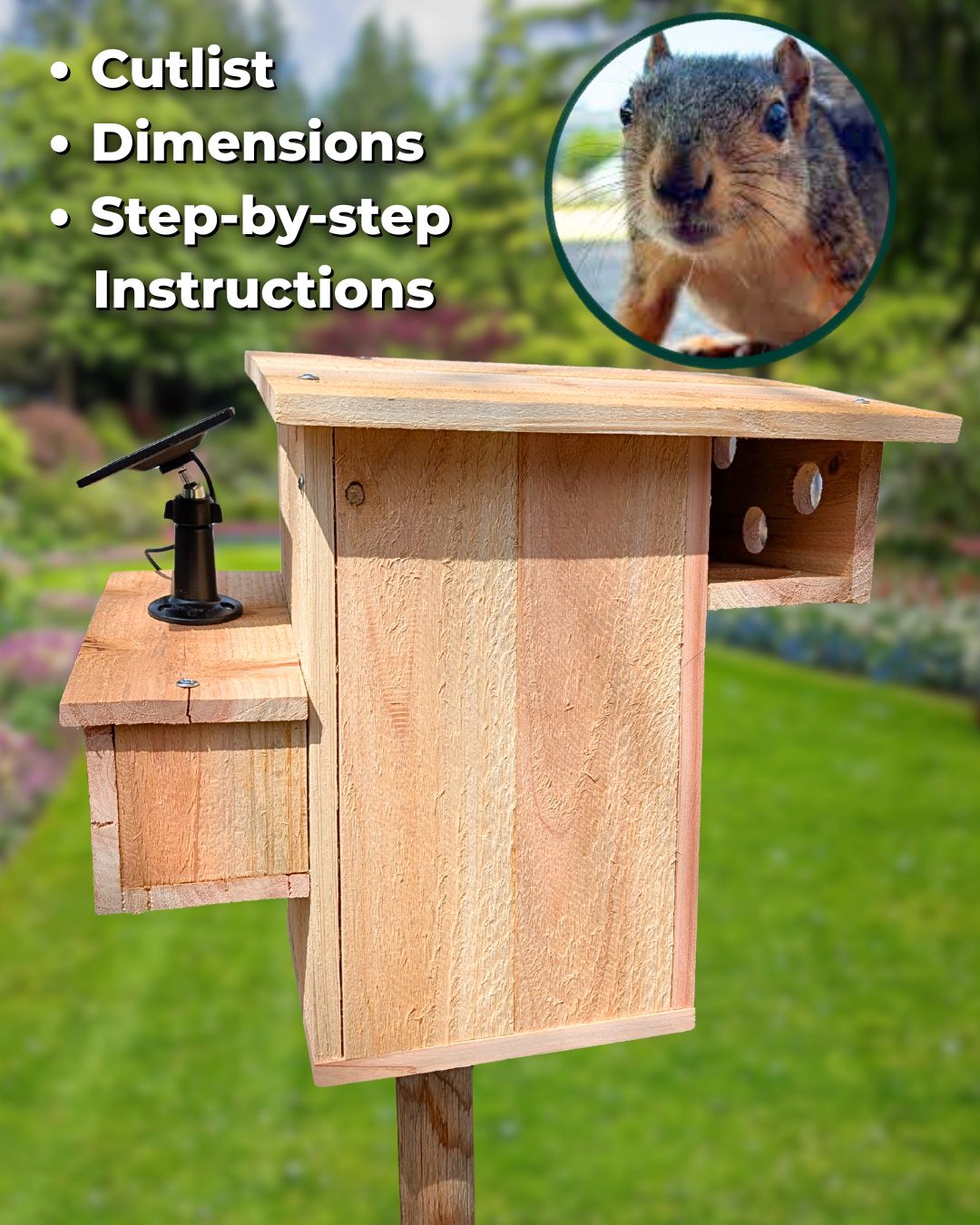 The Squirrel House